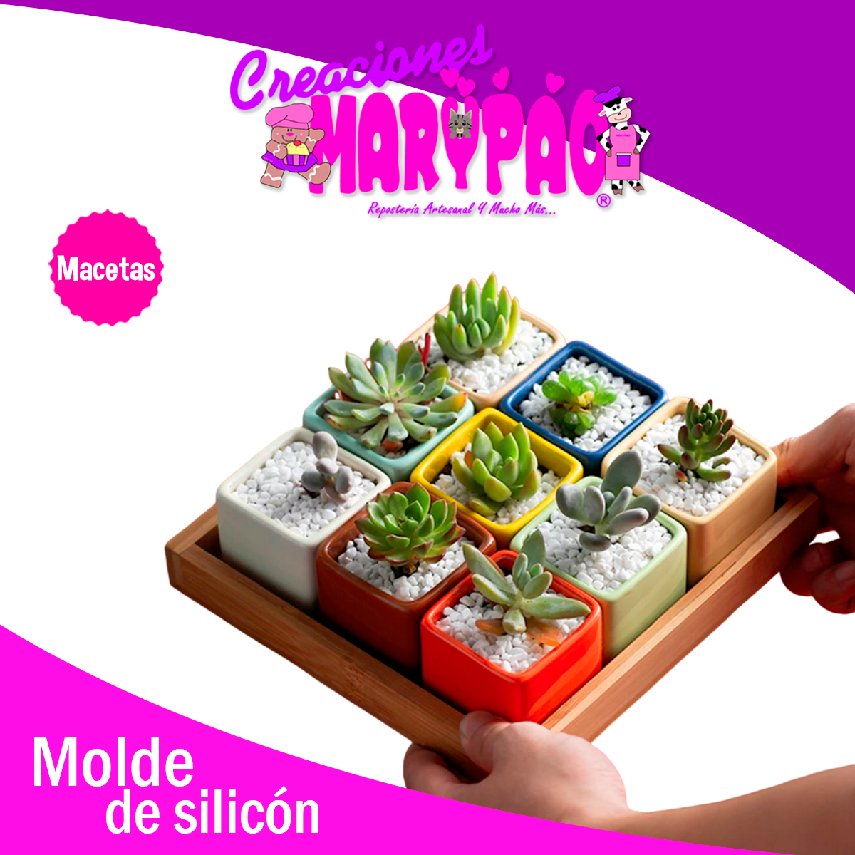 Molde De Silicón Macetas Corazón Y Cuadrada Pack Suculentas
