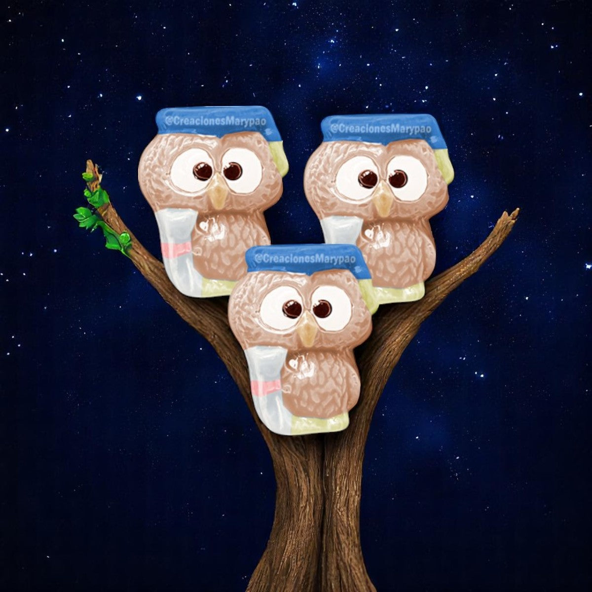 Molde Búhos Graduación (9 Cavidades) 🦉🎓