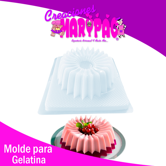 Molde Para Gelatina Acordeón Mod.20